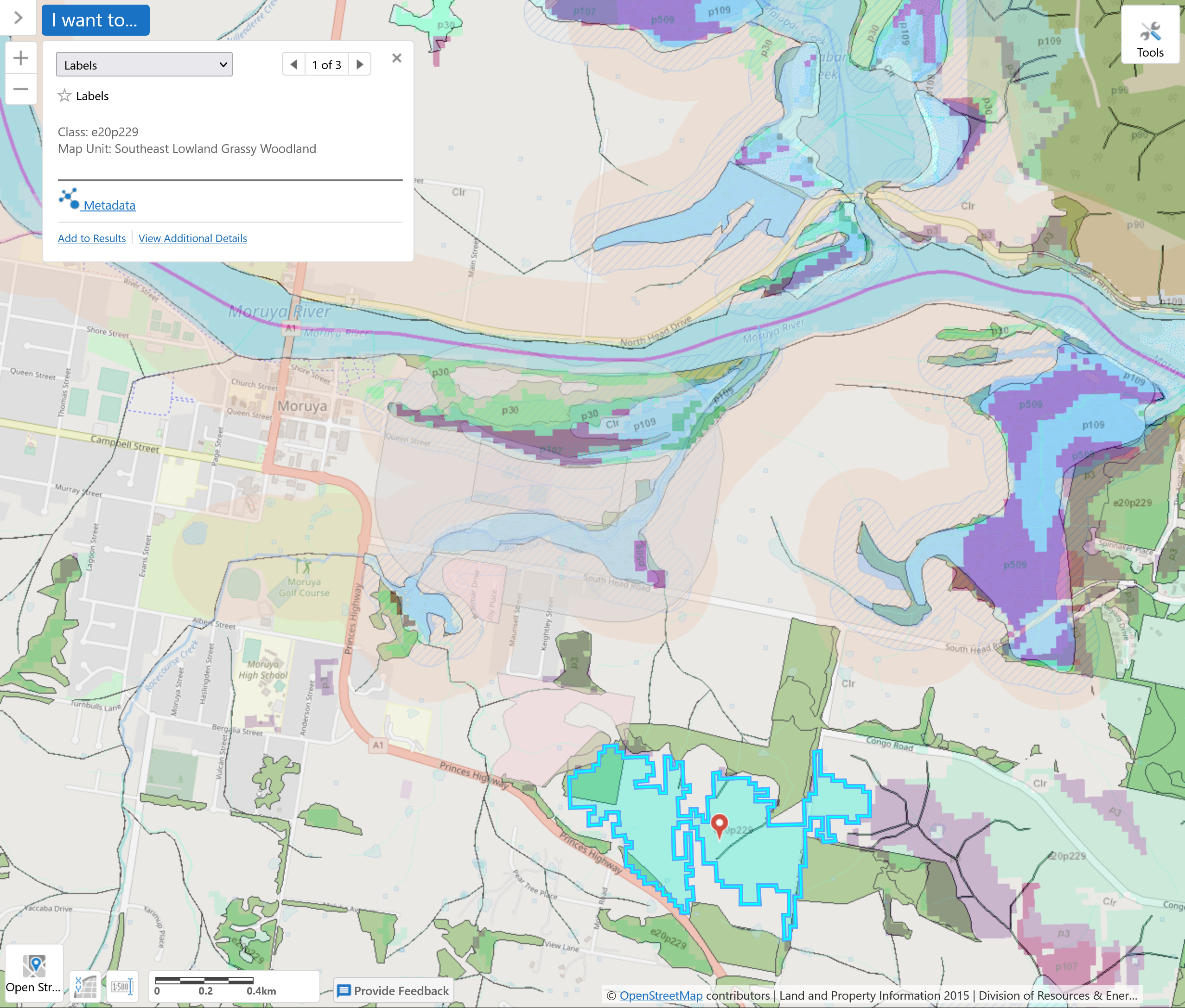 Moruya bypass critically endangered Threatened Ecological Community Lowland Grassy Woodland Noads Road Map 